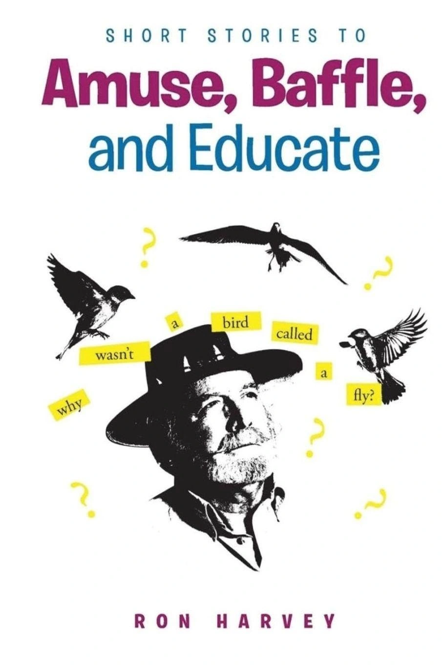 Short Stories to Amuse, Baffle, and Educate by Ron Harvey — published book cover